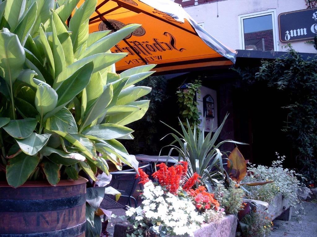Fritz'Es Goldener Stern Hotel Schauenburg Buitenkant foto